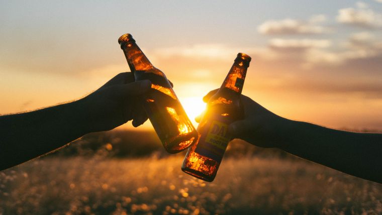 An image of two alcohol bottles being held up in front of a sunset