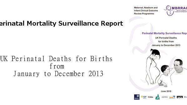 Cover or Perinatal Mortality Surveillance Report 2013