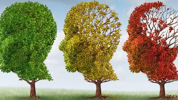 Illustration of a trees losing its leaves to represent progression of dementia