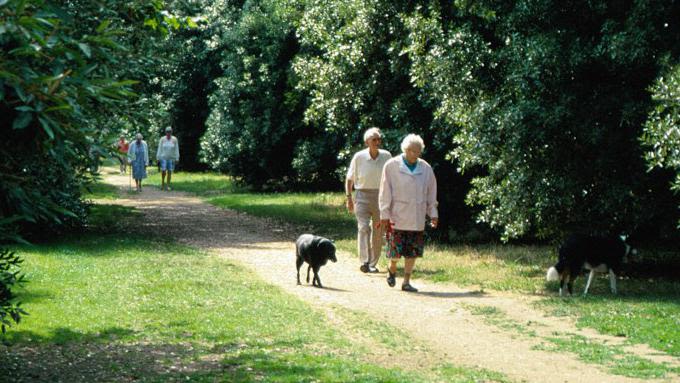 Older couple walking a dog in a park.